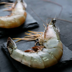 supplier-shrimp-indonesia-seafood