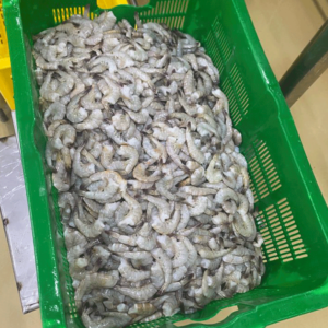 Shrimp-Supplier-from-Indonesia