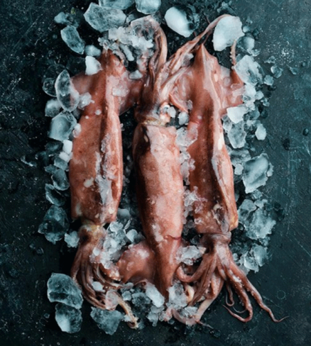 Seafood-indonesia-supplier-squid